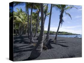 Punaluu Black Sand Beach, Island of Hawaii (Big Island), Hawaii, USA-Ethel Davies-Stretched Canvas