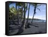 Punaluu Black Sand Beach, Island of Hawaii (Big Island), Hawaii, USA-Ethel Davies-Framed Stretched Canvas