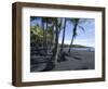 Punaluu Black Sand Beach, Island of Hawaii (Big Island), Hawaii, USA-Ethel Davies-Framed Photographic Print