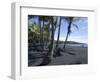 Punaluu Black Sand Beach, Island of Hawaii (Big Island), Hawaii, USA-Ethel Davies-Framed Photographic Print