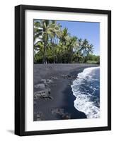 Punaluu Black Sand Beach, Island of Hawaii (Big Island), Hawaii, USA-Ethel Davies-Framed Photographic Print