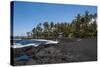 Punaluu Black Sand Beach on Big Island, Hawaii, United States of America, Pacific-Michael Runkel-Stretched Canvas