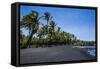 Punaluu Black Sand Beach on Big Island, Hawaii, United States of America, Pacific-Michael Runkel-Framed Stretched Canvas