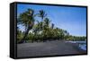 Punaluu Black Sand Beach on Big Island, Hawaii, United States of America, Pacific-Michael Runkel-Framed Stretched Canvas