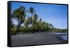 Punaluu Black Sand Beach on Big Island, Hawaii, United States of America, Pacific-Michael Runkel-Framed Stretched Canvas