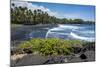 Punaluu Black Sand Beach on Big Island, Hawaii, United States of America, Pacific-Michael Runkel-Mounted Photographic Print