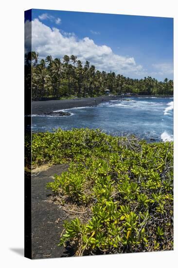 Punaluu Black Sand Beach on Big Island, Hawaii, United States of America, Pacific-Michael Runkel-Stretched Canvas