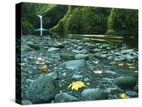 Punch Bowl Falls, Columbia Gorge National Scenic Area, Oregon, USA-Charles Gurche-Stretched Canvas