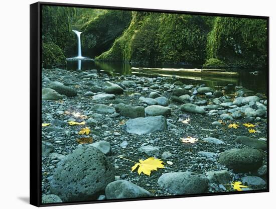 Punch Bowl Falls, Columbia Gorge National Scenic Area, Oregon, USA-Charles Gurche-Framed Stretched Canvas