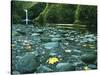 Punch Bowl Falls, Columbia Gorge National Scenic Area, Oregon, USA-Charles Gurche-Stretched Canvas