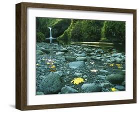 Punch Bowl Falls, Columbia Gorge National Scenic Area, Oregon, USA-Charles Gurche-Framed Premium Photographic Print