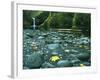 Punch Bowl Falls, Columbia Gorge National Scenic Area, Oregon, USA-Charles Gurche-Framed Photographic Print