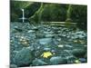 Punch Bowl Falls, Columbia Gorge National Scenic Area, Oregon, USA-Charles Gurche-Mounted Photographic Print