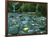 Punch Bowl Falls, Columbia Gorge National Scenic Area, Oregon, USA-Charles Gurche-Framed Photographic Print