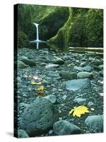 Punch Bowl Falls, Columbia Gorge National Scenic Area, Oregon, USA-Charles Gurche-Stretched Canvas