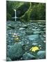 Punch Bowl Falls, Columbia Gorge National Scenic Area, Oregon, USA-Charles Gurche-Mounted Premium Photographic Print