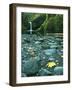 Punch Bowl Falls, Columbia Gorge National Scenic Area, Oregon, USA-Charles Gurche-Framed Photographic Print