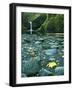 Punch Bowl Falls, Columbia Gorge National Scenic Area, Oregon, USA-Charles Gurche-Framed Photographic Print