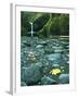 Punch Bowl Falls, Columbia Gorge National Scenic Area, Oregon, USA-Charles Gurche-Framed Photographic Print