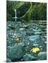 Punch Bowl Falls, Columbia Gorge National Scenic Area, Oregon, USA-Charles Gurche-Mounted Photographic Print