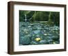 Punch Bowl Falls, Columbia Gorge National Scenic Area, Oregon, USA-Charles Gurche-Framed Photographic Print