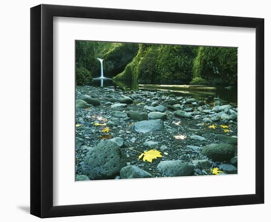 Punch Bowl Falls, Columbia Gorge National Scenic Area, Oregon, USA-Charles Gurche-Framed Photographic Print