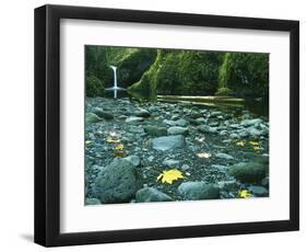 Punch Bowl Falls, Columbia Gorge National Scenic Area, Oregon, USA-Charles Gurche-Framed Photographic Print