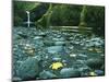 Punch Bowl Falls, Columbia Gorge National Scenic Area, Oregon, USA-Charles Gurche-Mounted Photographic Print