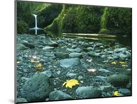 Punch Bowl Falls, Columbia Gorge National Scenic Area, Oregon, USA-Charles Gurche-Mounted Photographic Print