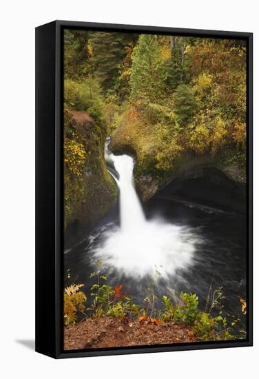 Punch Bowl Falls, Columbia River Gorge, Oregon, USA-Jamie & Judy Wild-Framed Stretched Canvas