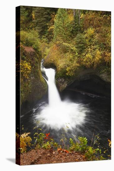 Punch Bowl Falls, Columbia River Gorge, Oregon, USA-Jamie & Judy Wild-Stretched Canvas