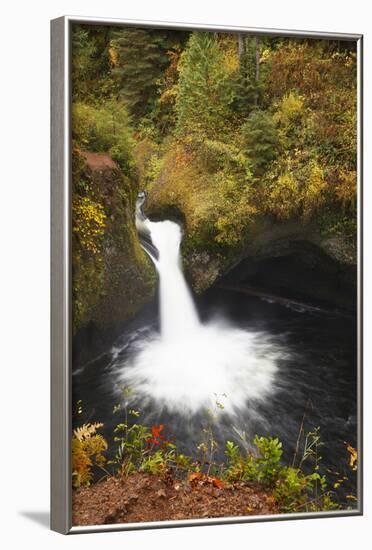 Punch Bowl Falls, Columbia River Gorge, Oregon, USA-Jamie & Judy Wild-Framed Photographic Print