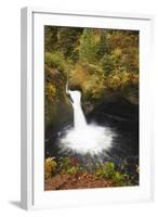 Punch Bowl Falls, Columbia River Gorge, Oregon, USA-Jamie & Judy Wild-Framed Photographic Print