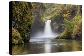 Punch Bowl Falls, Columbia River Gorge, Oregon, USA-Jamie & Judy Wild-Stretched Canvas