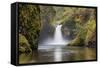Punch Bowl Falls, Columbia River Gorge, Oregon, USA-Jamie & Judy Wild-Framed Stretched Canvas