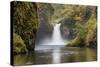 Punch Bowl Falls, Columbia River Gorge, Oregon, USA-Jamie & Judy Wild-Stretched Canvas