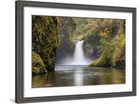 Punch Bowl Falls, Columbia River Gorge, Oregon, USA-Jamie & Judy Wild-Framed Photographic Print