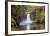 Punch Bowl Falls, Columbia River Gorge, Oregon, USA-Jamie & Judy Wild-Framed Photographic Print