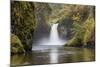 Punch Bowl Falls, Columbia River Gorge, Oregon, USA-Jamie & Judy Wild-Mounted Photographic Print