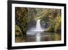 Punch Bowl Falls, Columbia River Gorge, Oregon, USA-Jamie & Judy Wild-Framed Photographic Print