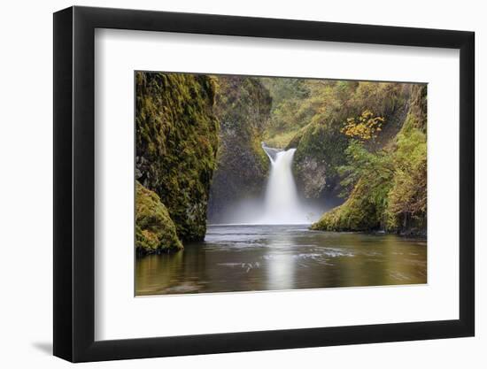 Punch Bowl Falls, Columbia River Gorge, Oregon, USA-Jamie & Judy Wild-Framed Photographic Print