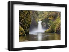 Punch Bowl Falls, Columbia River Gorge, Oregon, USA-Jamie & Judy Wild-Framed Photographic Print