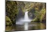 Punch Bowl Falls, Columbia River Gorge, Oregon, USA-Jamie & Judy Wild-Mounted Photographic Print