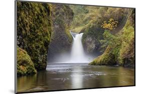 Punch Bowl Falls, Columbia River Gorge, Oregon, USA-Jamie & Judy Wild-Mounted Photographic Print