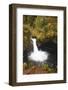 Punch Bowl Falls, Columbia River Gorge, Oregon, USA-Jamie & Judy Wild-Framed Photographic Print