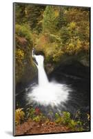 Punch Bowl Falls, Columbia River Gorge, Oregon, USA-Jamie & Judy Wild-Mounted Photographic Print