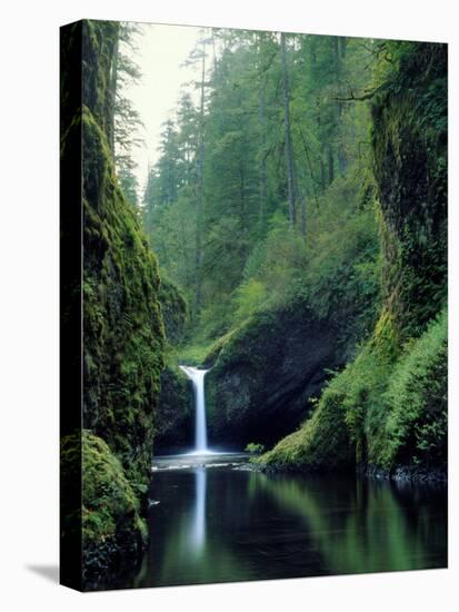Punch Bowl Falls, Eagle Creek, Columbia River Gorge Scenic Area, Oregon, USA-Janis Miglavs-Stretched Canvas