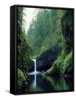 Punch Bowl Falls, Eagle Creek, Columbia River Gorge Scenic Area, Oregon, USA-Janis Miglavs-Framed Stretched Canvas