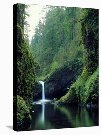 Punch Bowl Falls, Eagle Creek, Columbia River Gorge Scenic Area, Oregon, USA-Janis Miglavs-Stretched Canvas