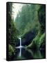 Punch Bowl Falls, Eagle Creek, Columbia River Gorge Scenic Area, Oregon, USA-Janis Miglavs-Framed Stretched Canvas